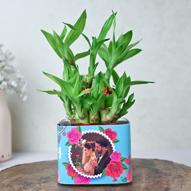 Personalised Lucky Bamboo Love | Cake2homes
