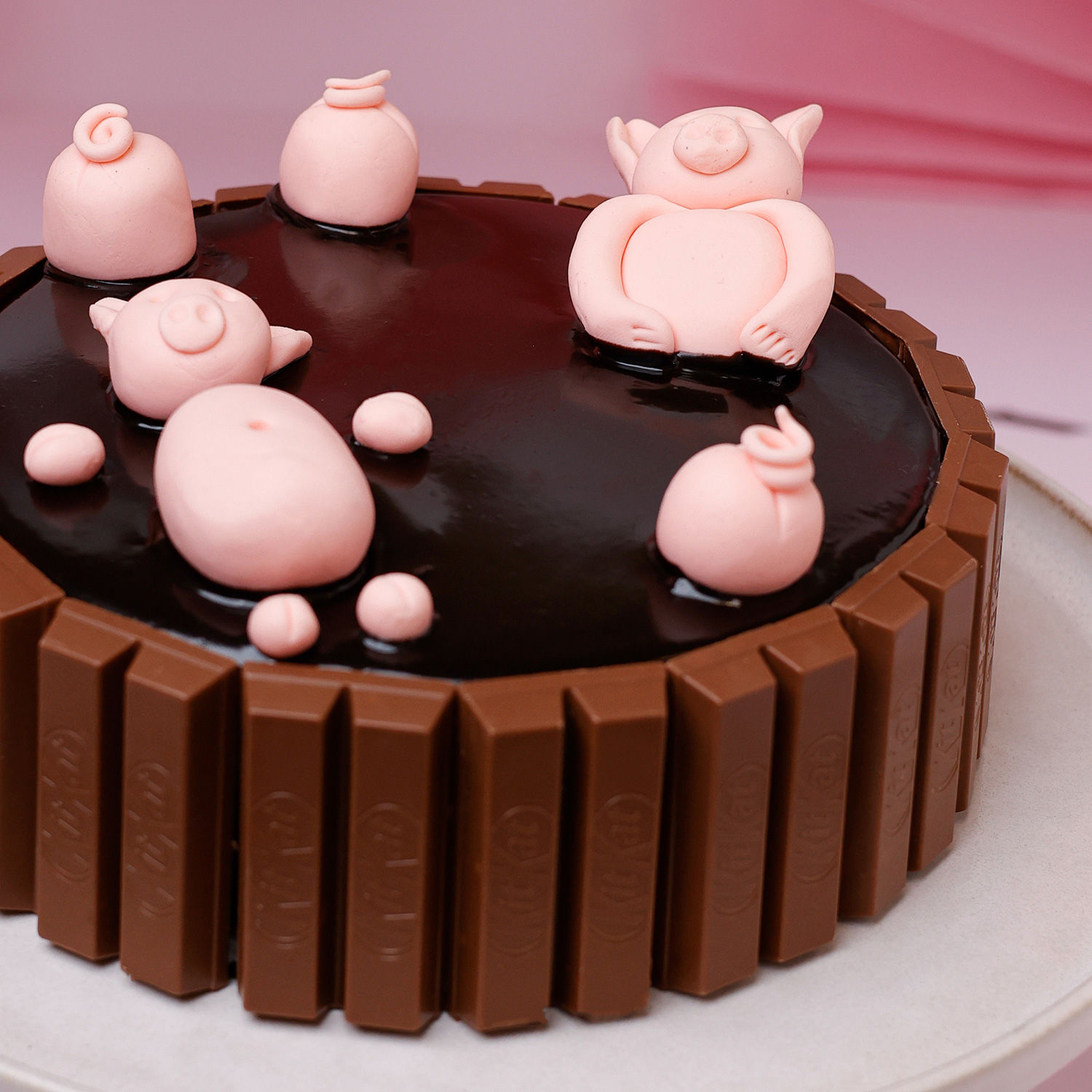 Cute Pigs Choco Mud Cake