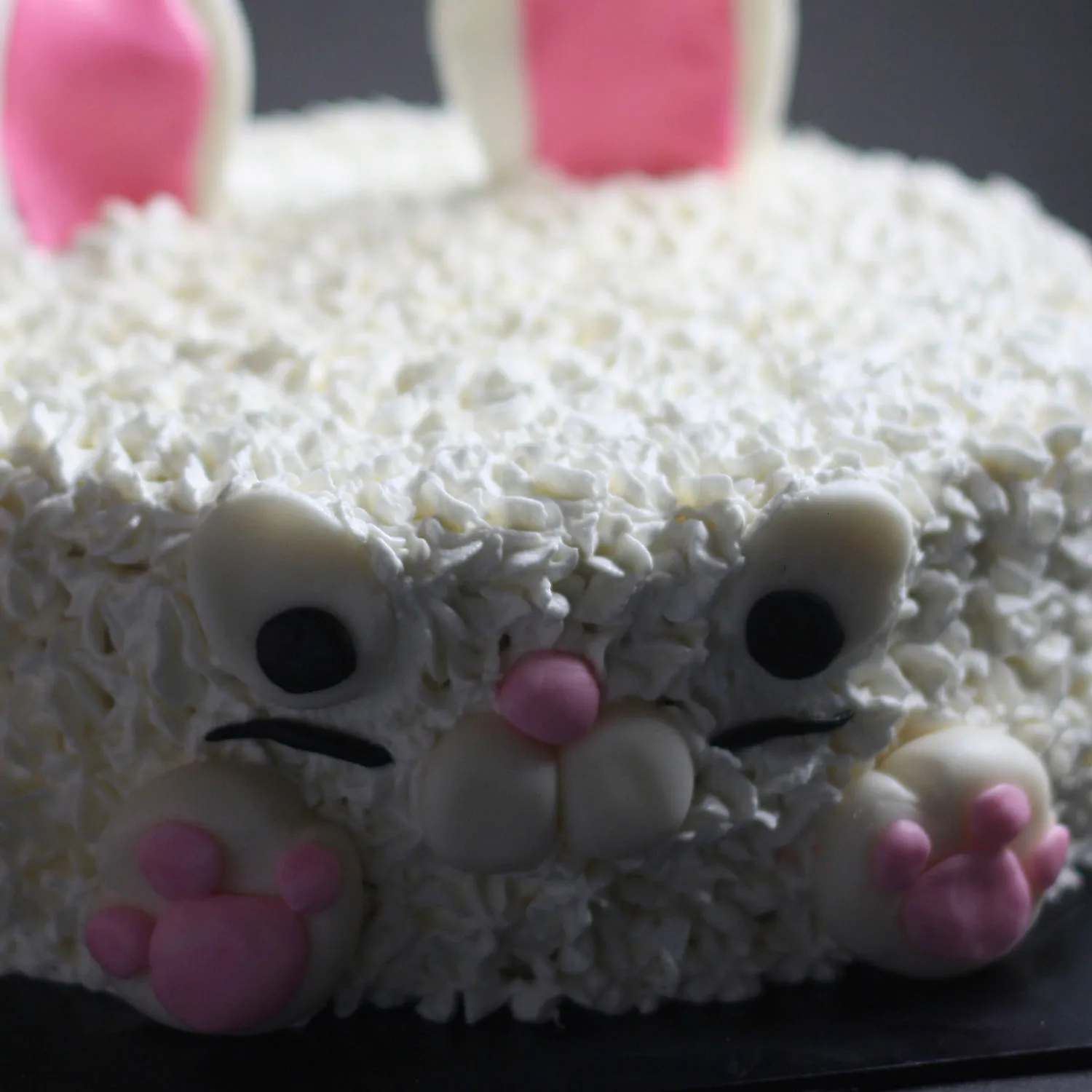 Bunny Chocolate Cake