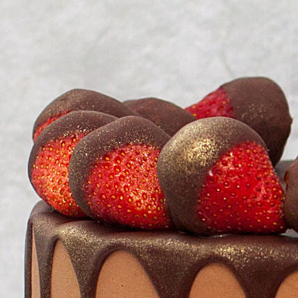 Luscious Chocolate Cream Cake