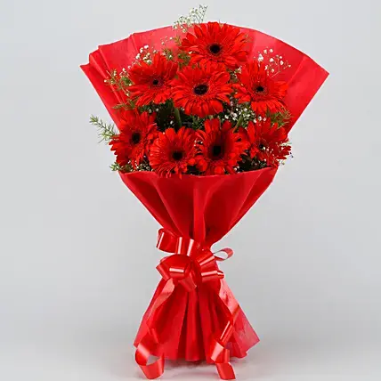 Red Elegance Gerbera Bouquet