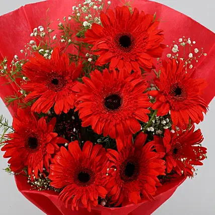 Red Elegance Gerbera Bouquet
