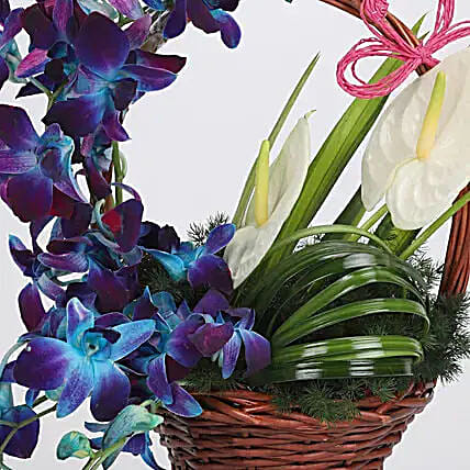 Basket of Blue Orchids & Anthuriums