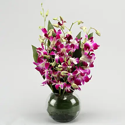 Gorgeous Purple Orchid Bunch