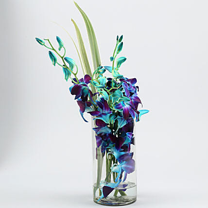 Lovely Orchids & Dandella In Cylindrical Vase