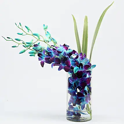 Lovely Orchids & Dandella In Cylindrical Vase