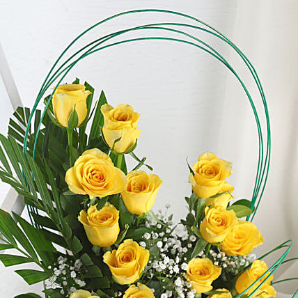 Basking In Sunlight Roses