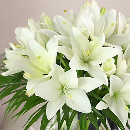 Pure White Asiatic Lilies In Fishbowl Vase