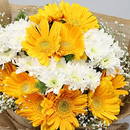 Lovely Yellow & White Flowers