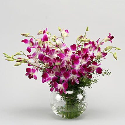 Stunning Purple Orchid Bunch