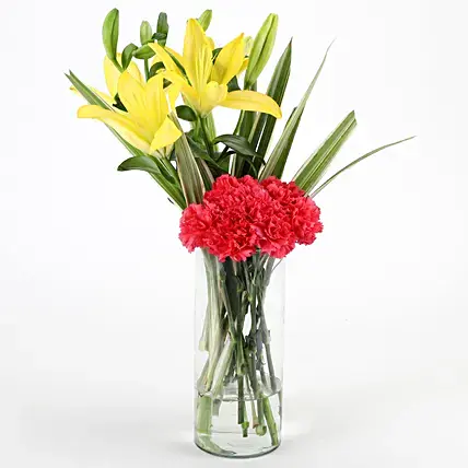 Carnations & Lilies Vase Arrangement