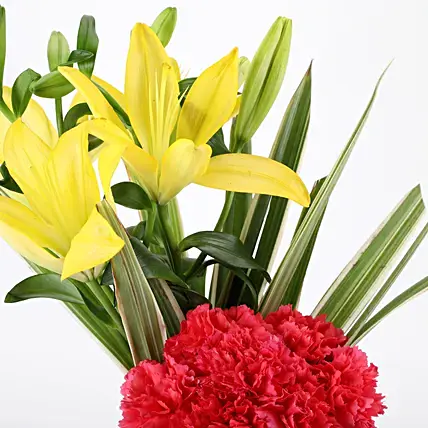 Carnations & Lilies Vase Arrangement