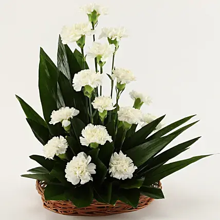 White Carnations Cane Basket Arrangement