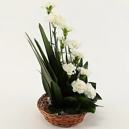 White Carnations Cane Basket Arrangement