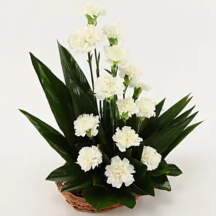 White Carnations Cane Basket Arrangement