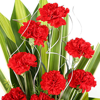 15 Regal Carnations Basket