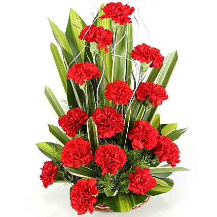 15 Regal Carnations Basket