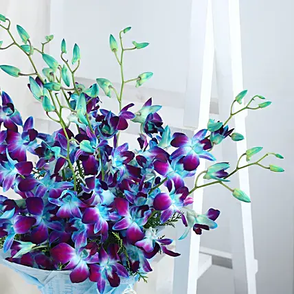 Colours Of Galaxy Orchids Bouquet