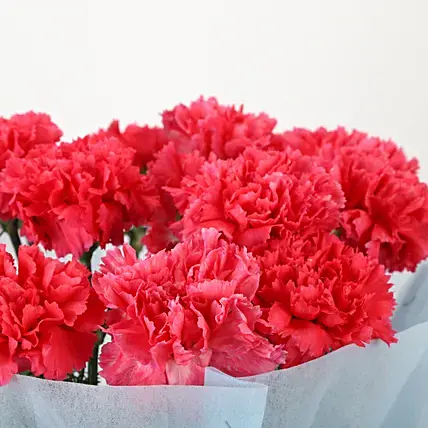 Adorable Pink Carnations Bouquet