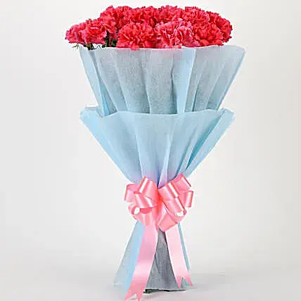 Adorable Pink Carnations Bouquet