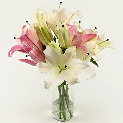 Pink & White Oriental Lilies in Glass Vase