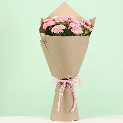 Perfect 12 Light Pink Carnations Bouquet