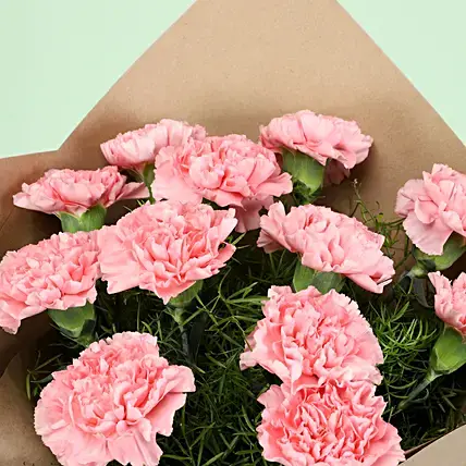 Perfect 12 Light Pink Carnations Bouquet