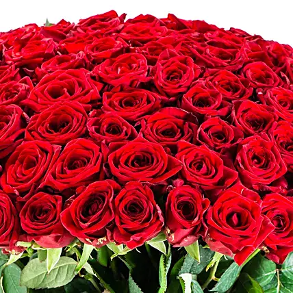Ardent Red Roses Vase | Cake2homes
