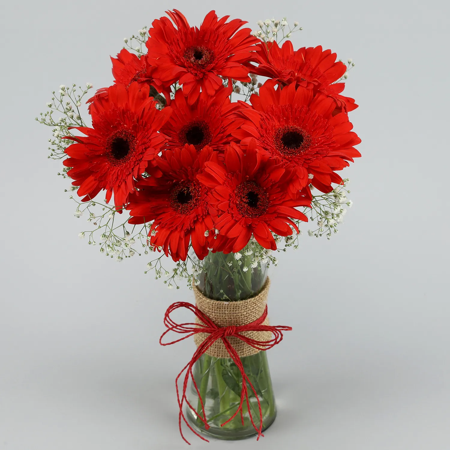 Red Elegance Gerbera Vase