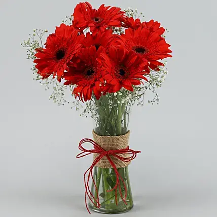 Red Elegance Gerbera Vase
