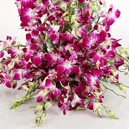 Royal Purple Orchid Arrangement