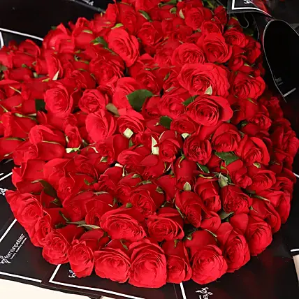 Romantic 200 Roses Beautifully Tied Bouquet
