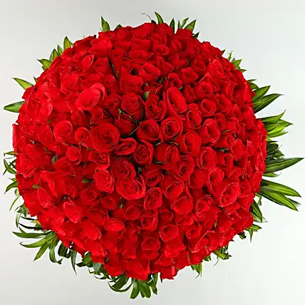 Forever Love 200 Red Roses Beautifully Tied Bunch