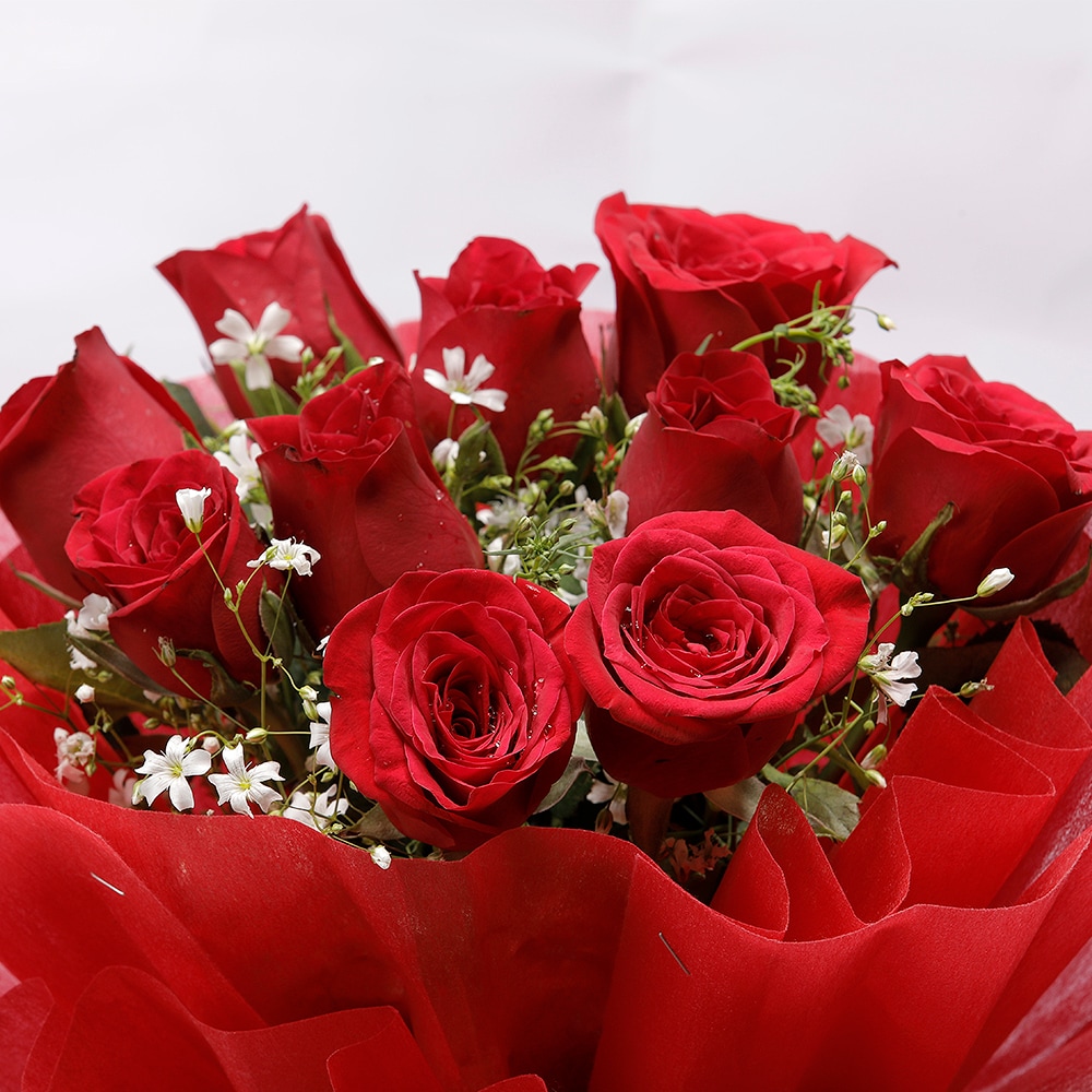 10 Red Rose