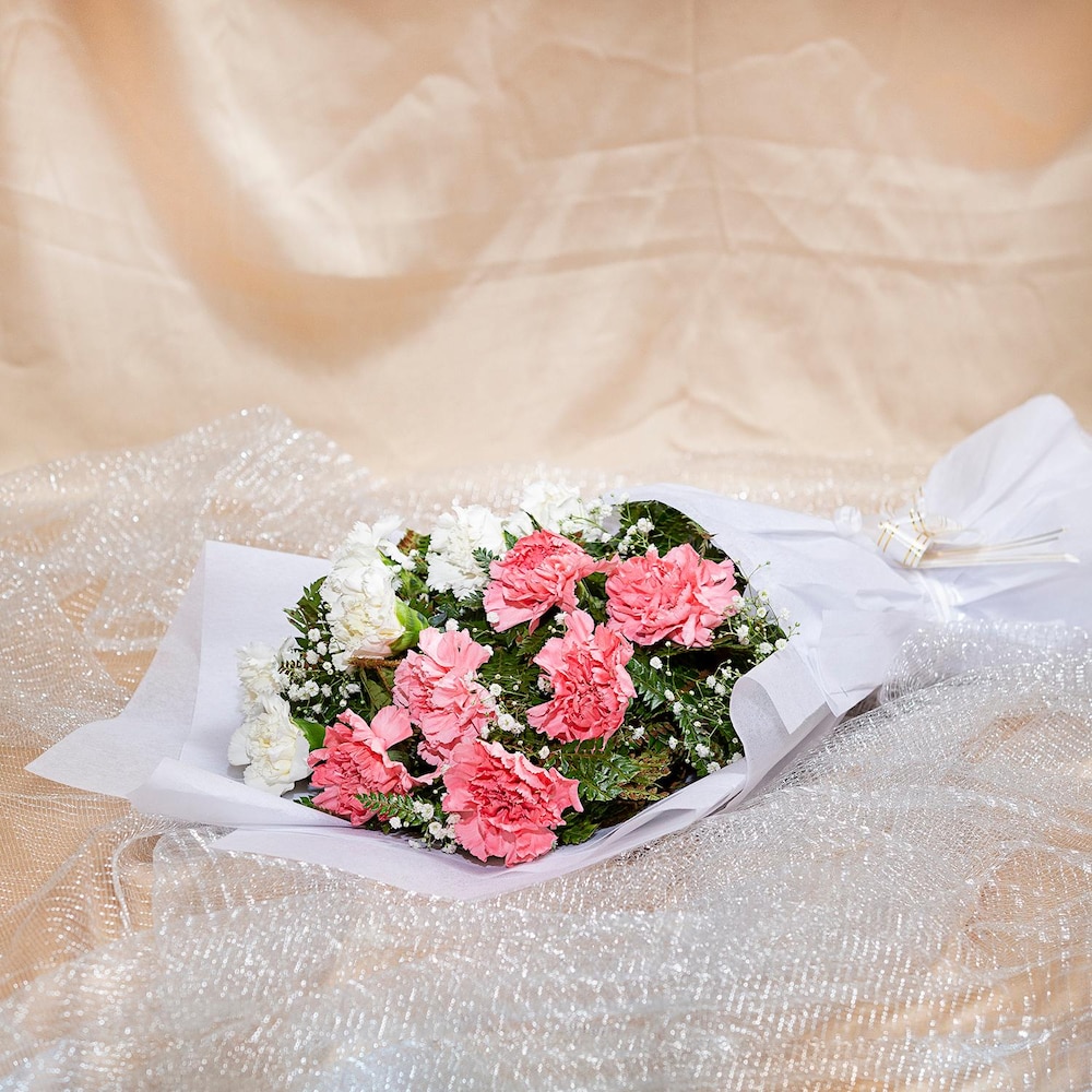 Pretty Pink And White Carnations