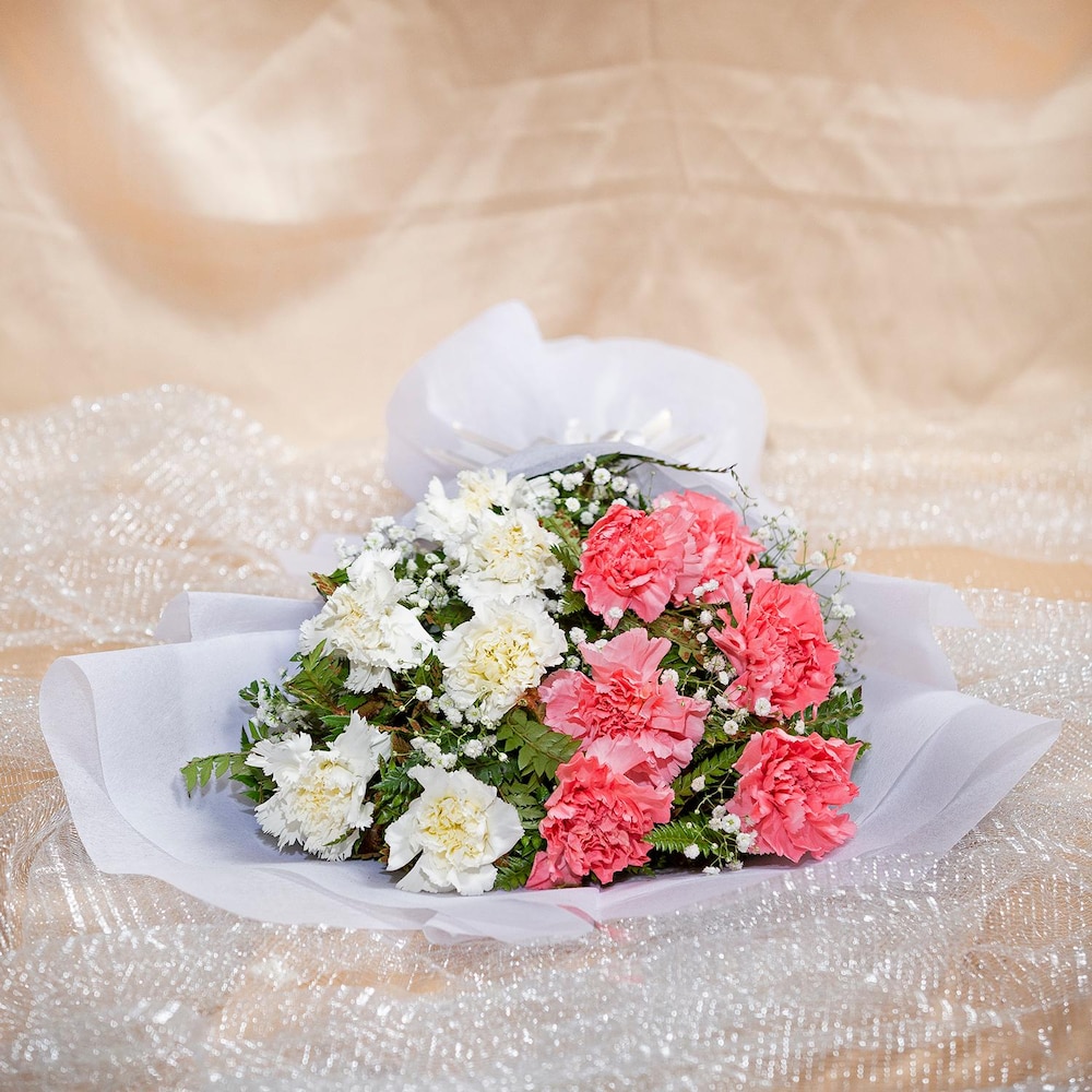 Pretty Pink And White Carnations