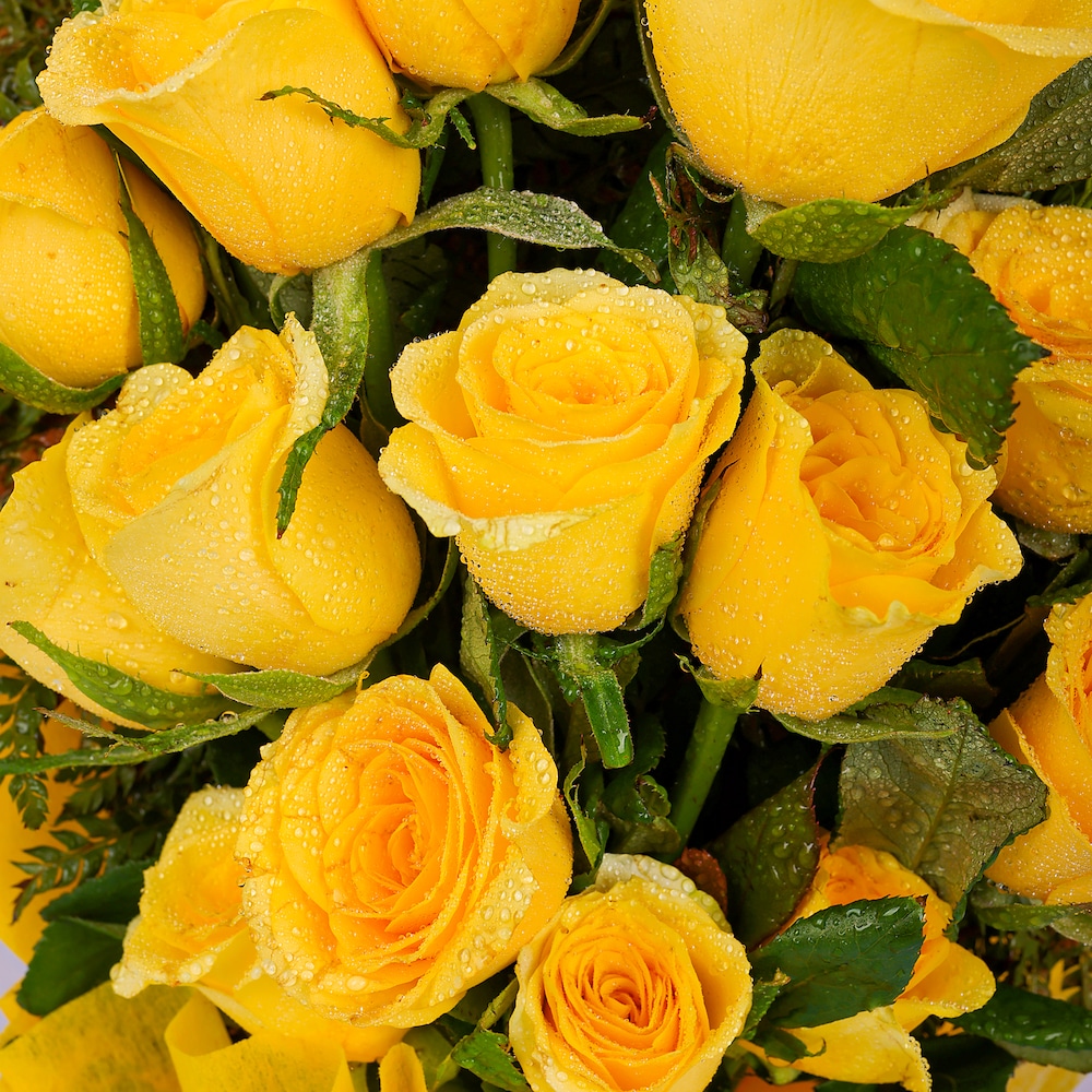 Stunning Yellow Roses Bunch