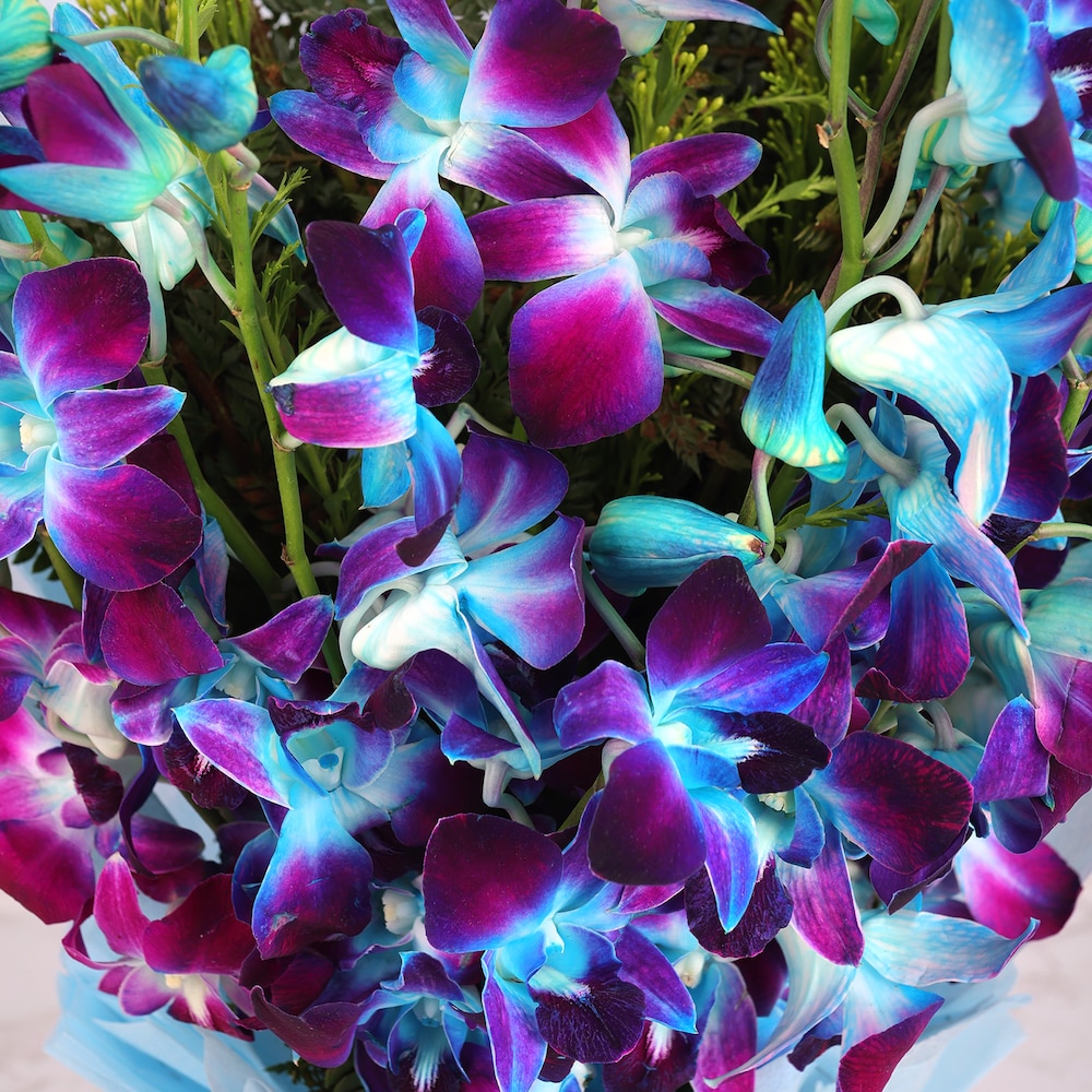 Enchanted Bloom Standard