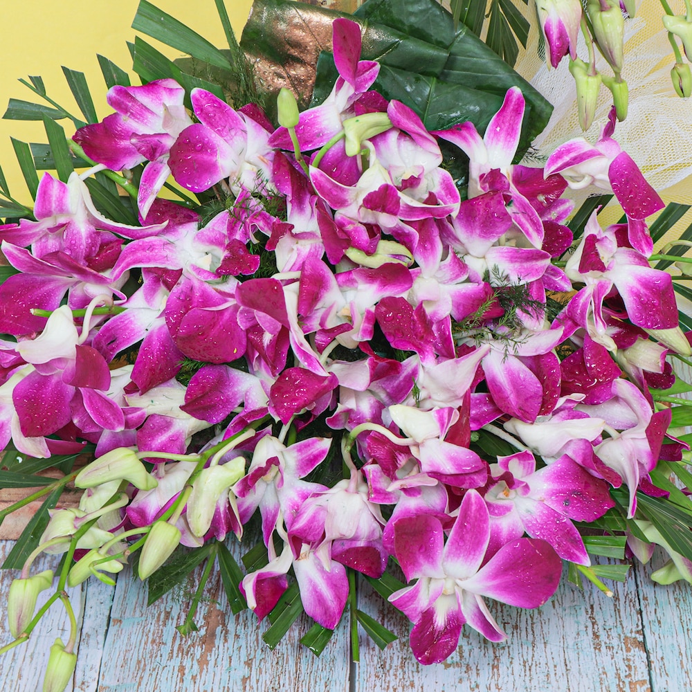 Purple Orchid Curvy Arrangement