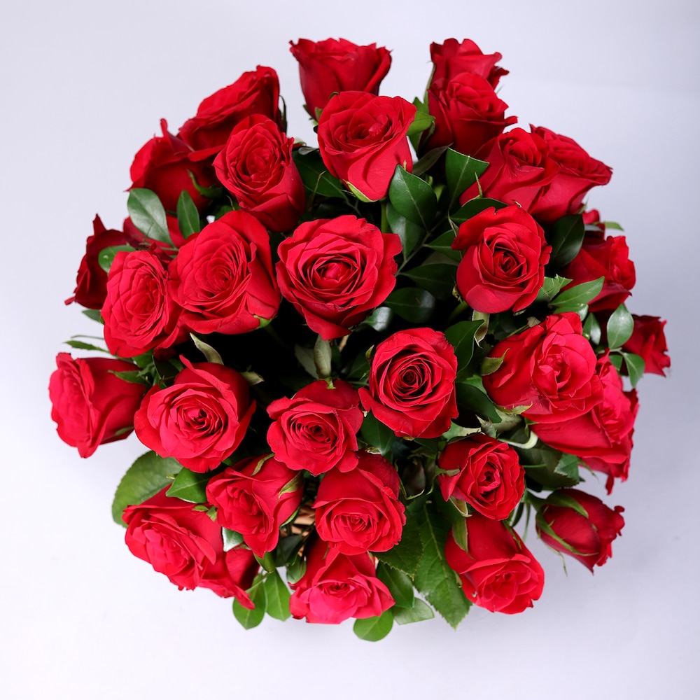 Red Roses Love