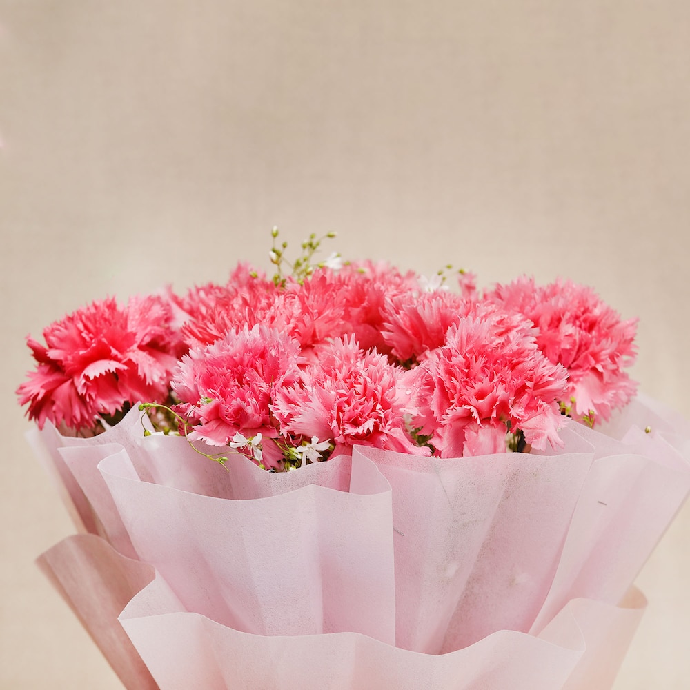 Pink Carnations In Pink Packing