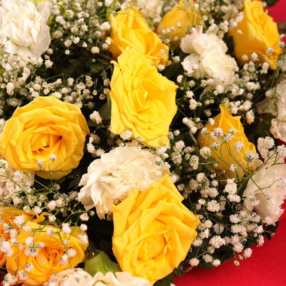 Graceful Carnation Arrangement