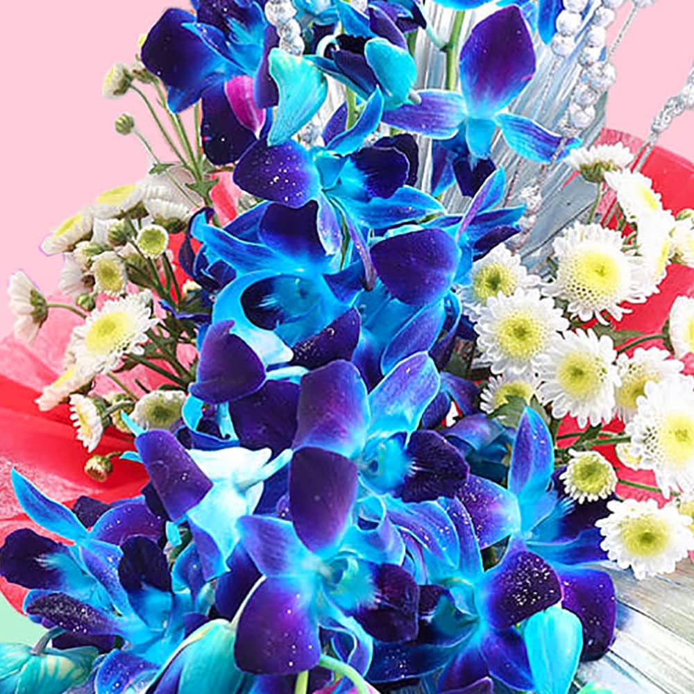 Paradise Of Happiness