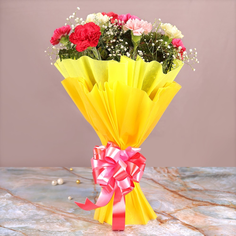 Mesmerising Mix Carnation