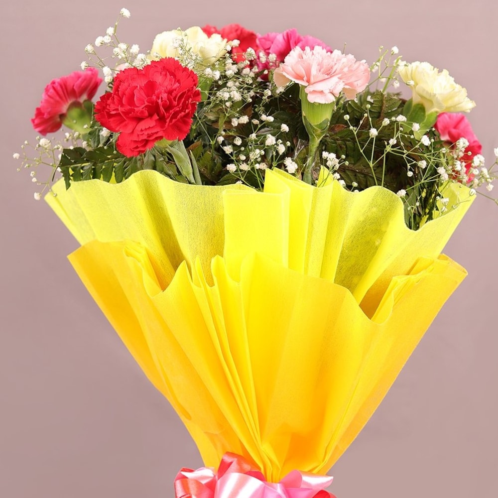 Mesmerising Mix Carnation