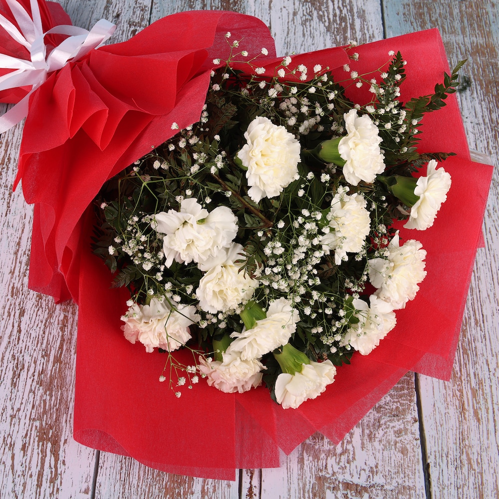 Lovely White Carnation