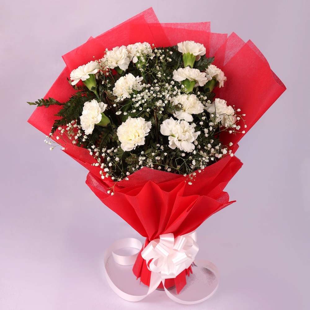 Lovely White Carnation