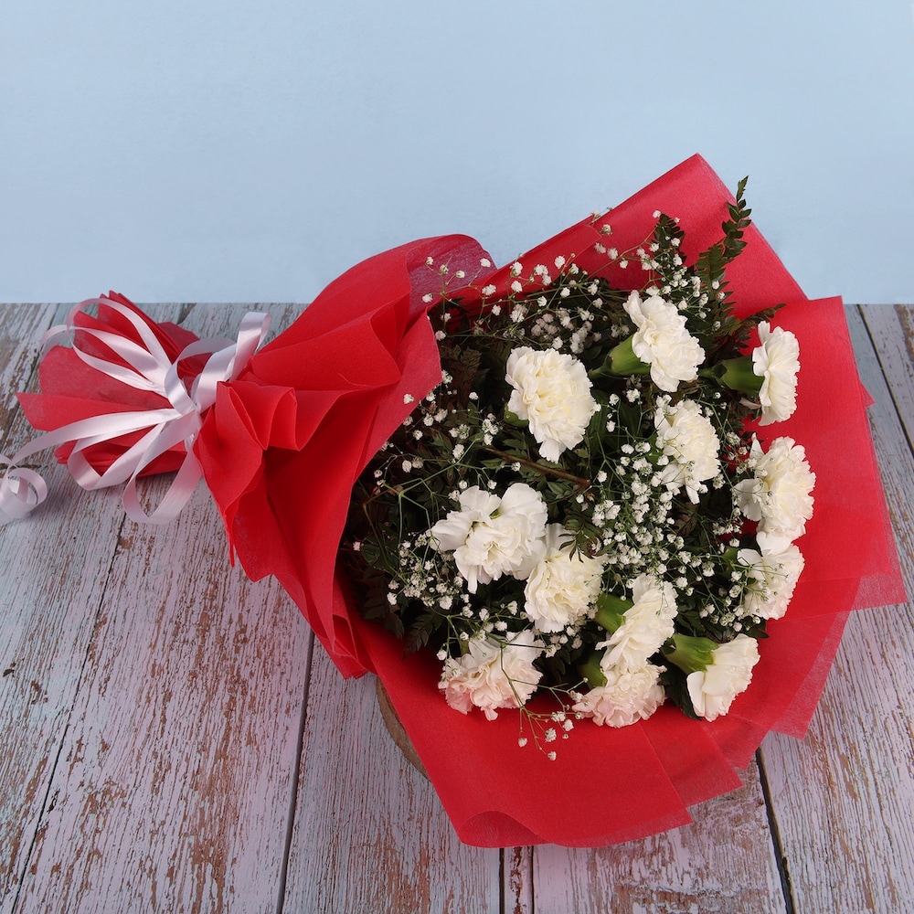 Lovely White Carnation