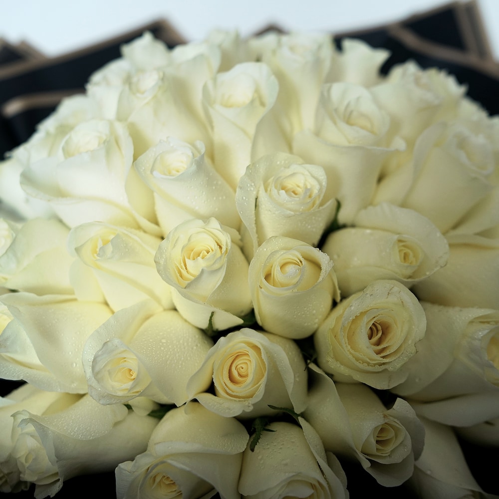 Pure Peaceful White Roses