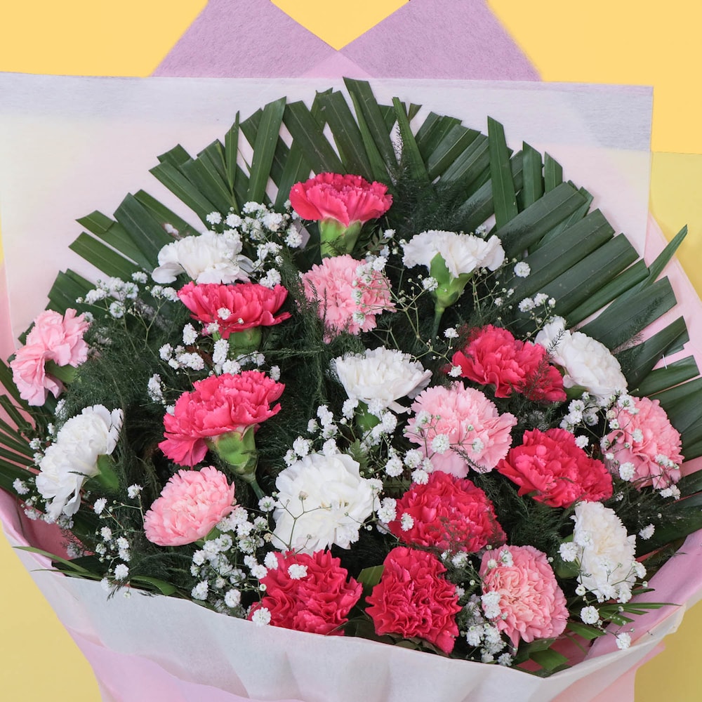 Mix Elegance Carnation Bouquet